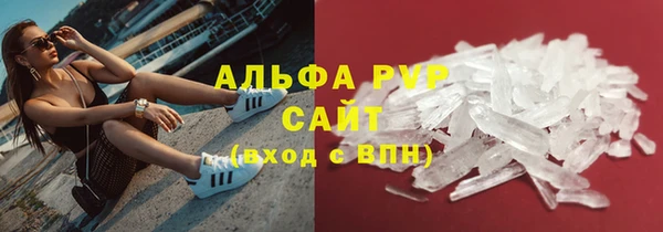 ECSTASY Сосновый Бор