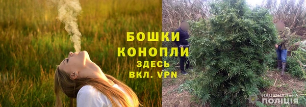 молекула духа Белоозёрский